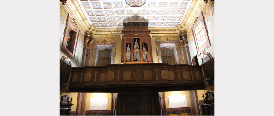 Organo Fedri Amatrice